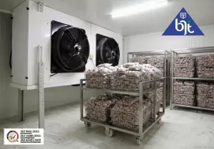 Mesin blast freezer indoor BJT